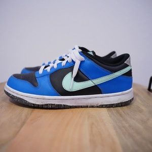 nike dunk size 7 lightly worn